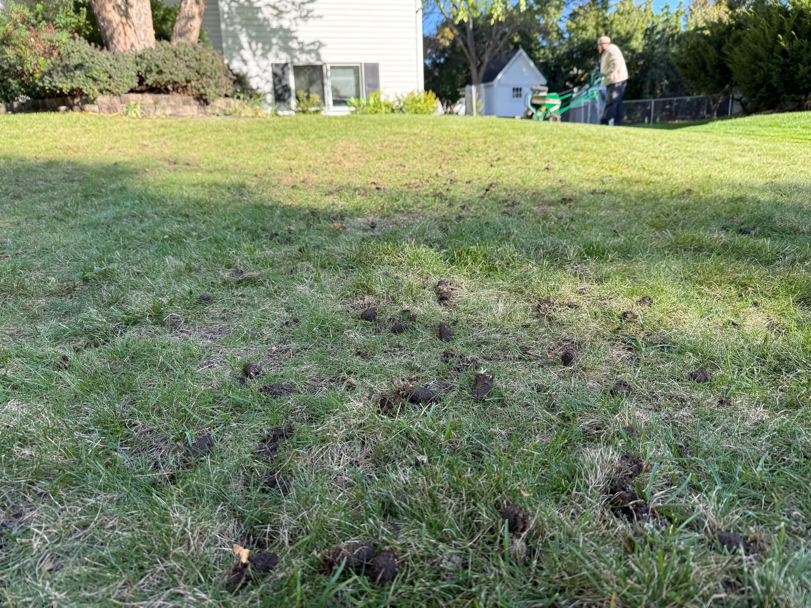 Lawn Aeration & Overseeding in Bloomington, MN
