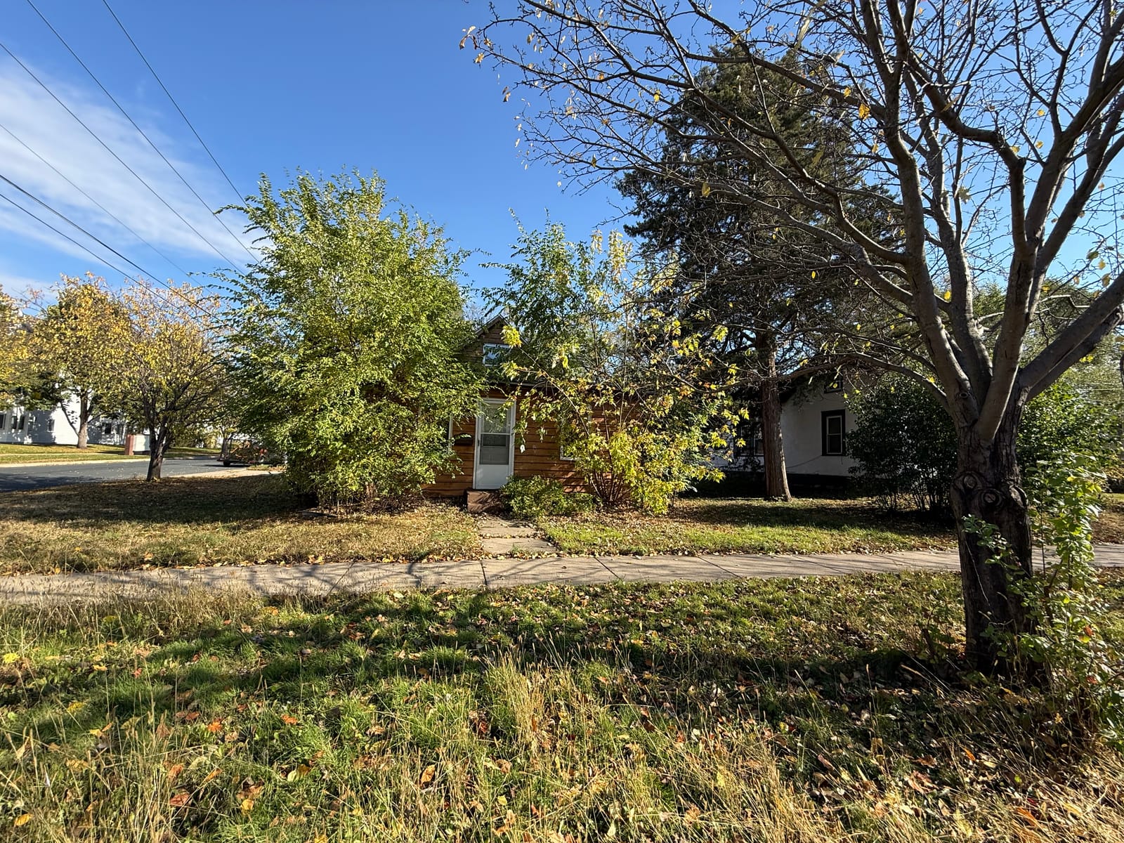 Bush, Shrub & Hedge Trimming in Bloomington, MN