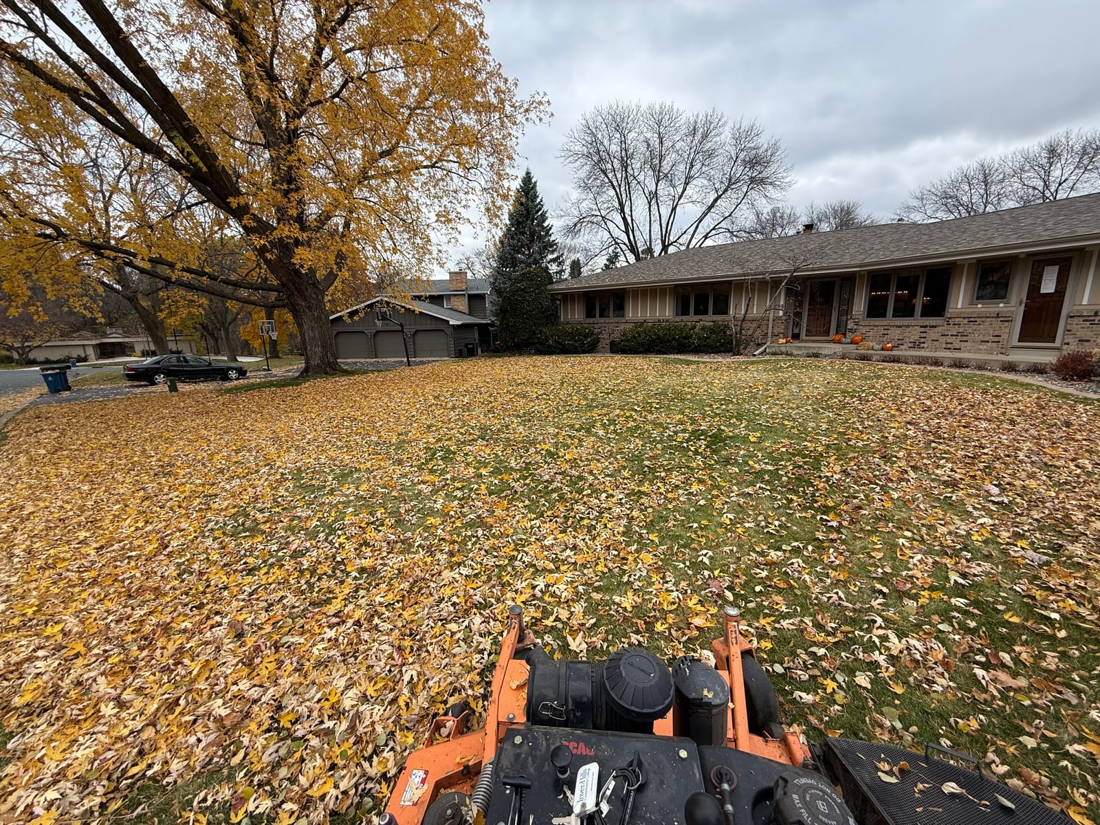The narrow window for a Bloomington fall cleanup